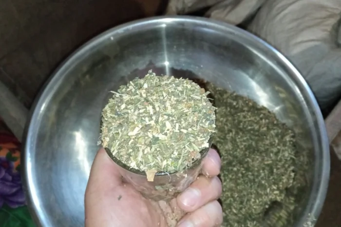 Запашна махорка з гарнрго сорту- фото № 3