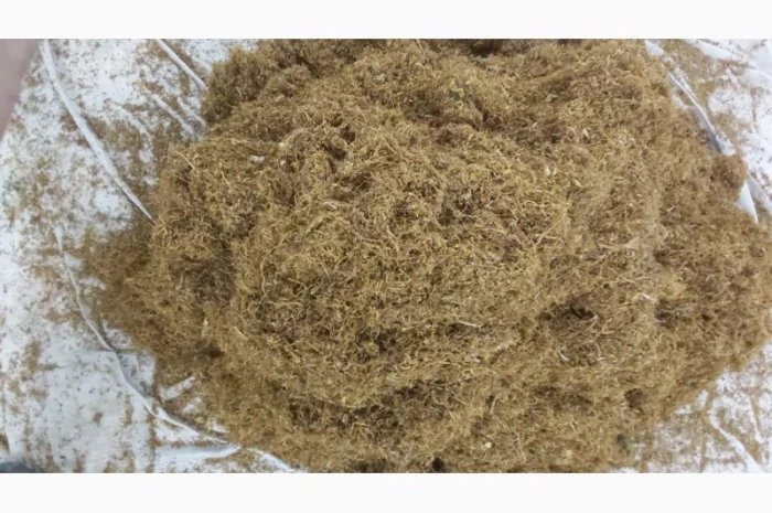 Домашній ферментований не смирдить не прілий Вірджінія Берлі крепкі і сіредні  для  сигарет 1 кг- фото № 3