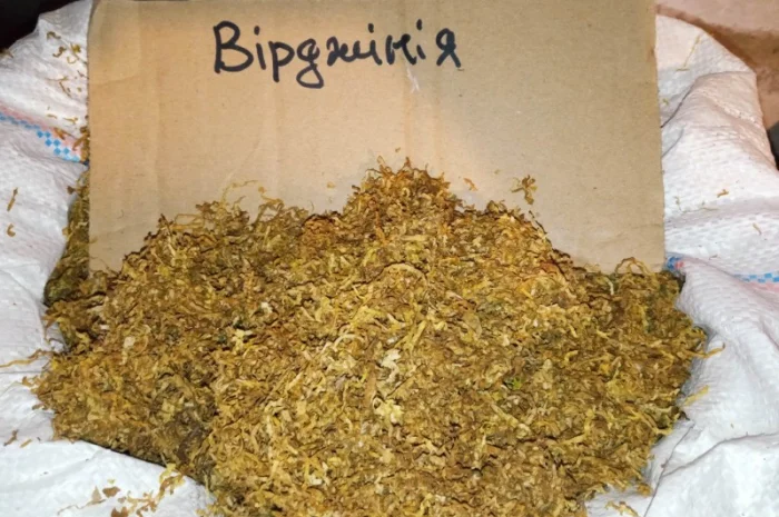 Берлі вірджінія самосад свіженький врожай- фото № 1