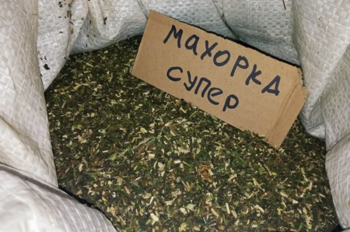 Гарний табачок для сигарет 1 кг, самосад махорка свіженька ферментована- фото № 5