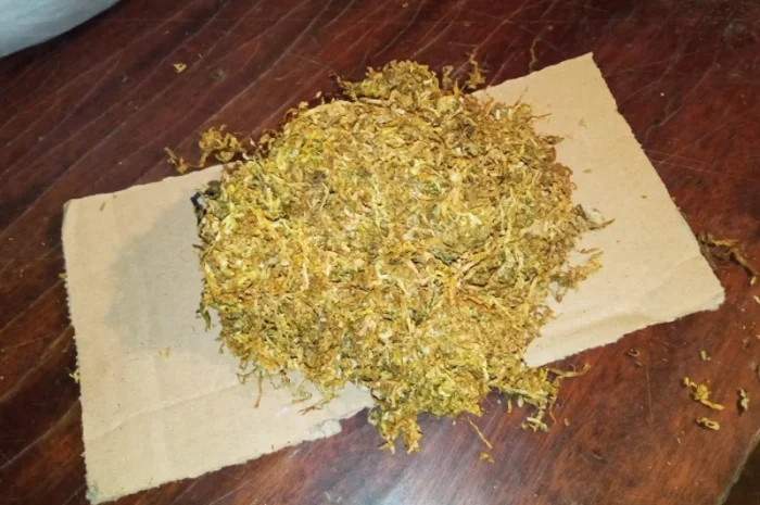 Гарний табачок для сигарет 1 кг, самосад махорка свіженька ферментована- фото № 2