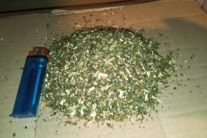 Гарний табачок для сигарет 1 кг, самосад махорка свіженька ферментована- фото № 4