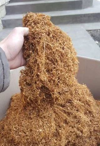 Тютюн самосад махорка табак  для  сигарет 1 кг,  все домашнє- фото № 3