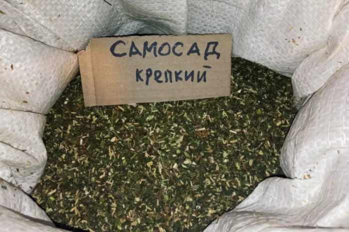 Вірджінія хароша не мокра самосад не прілий крепкий  для сигарет 1 кг- фото № 3