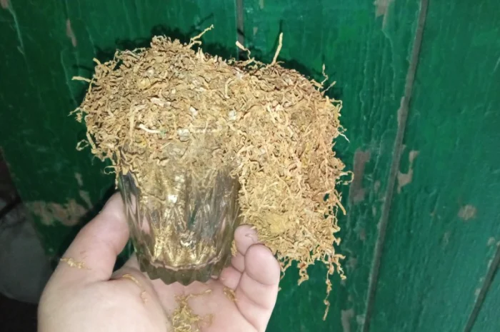 Тютюн  для сигарет 1 кг, не мокрий не прілий домашні різні сорти Самосад- фото № 1