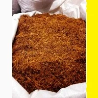 Домашні різні сорти Самосад дюбек берлі свіженькі, для сигарет 1 кілограм- фото № 1