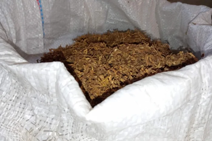 Домашні і сорти махорка дюбек берлі вірджінія сухенькі, для сигарет 1 кг- фото № 2