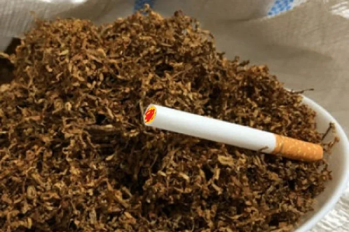 Тютюн табак табачок тютюнець куриво- фото № 1