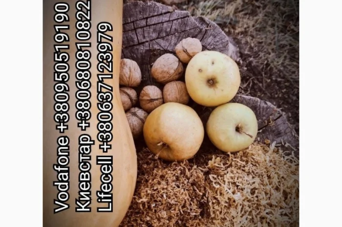 ПРОДАМ ЧИСТЫЙ ТАБАК для сигарет 1 кг : Вирджиния /Берли /Миллениум /Мальборо- фото № 2