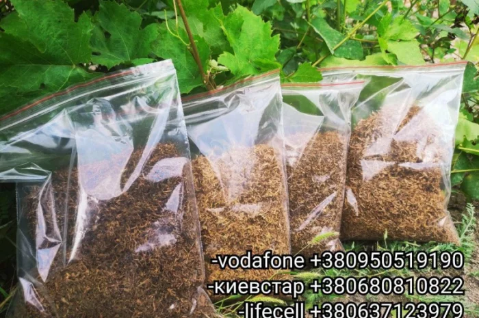 ПРОДАМ ЧИСТЫЙ ТАБАК для сигарет 1 кг : Вирджиния /Берли /Миллениум /Мальборо- фото № 4