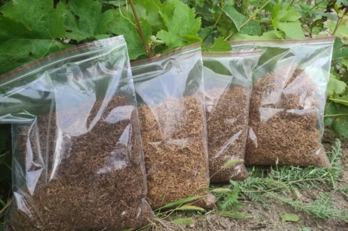 Продам: Берли, Микс, ДЮБЕК, Мальборо для трубки- фото № 4