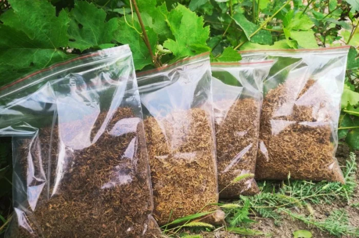 Вирджиния, Берли, без палок , для трубки- фото № 3