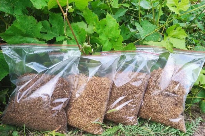 Табак Голд Желтый /Латакия /Галицкий для сигарет 1 кг- фото № 1