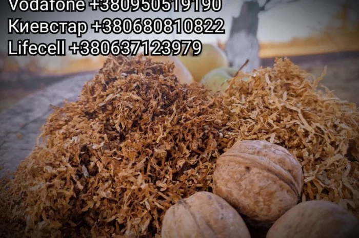 Якісний тютюн Winston, Вирджиния, Camel- фото № 2