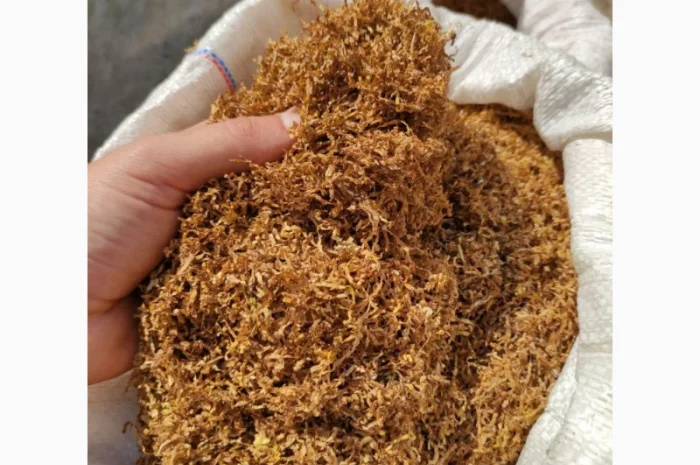 Якісний тютюн Winston, Вирджиния, Camel- фото № 3