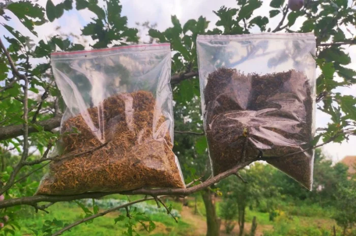 КАЧЕСТВЕННЫЙ ТАБАК: Вирджиния Голд. Фабричный. Винстон/Бонд/Мальборо/ ЛУЧШИЕ ЦЕНЫ- фото № 2