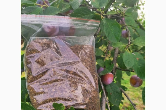 Дешевый импортный табак !!! Лучшего качества! Фабрика, лапша/ без мусора- фото № 1