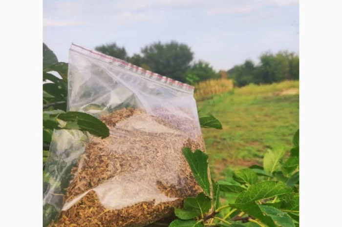 Дешевый импортный табак !!! Лучшего качества! Фабрика, лапша/ без мусора- фото № 2