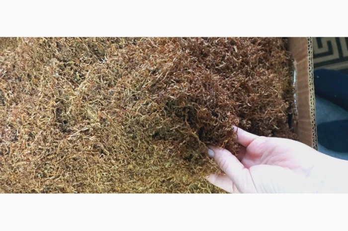 Продам тютюн  для сигарет 1 кг різаний сорт вірджинія- фото № 1