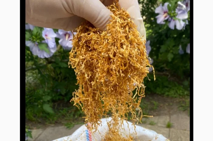 Шановні покупці, тільки першосортний тютюн для сигарет 1 кілограм- фото № 9