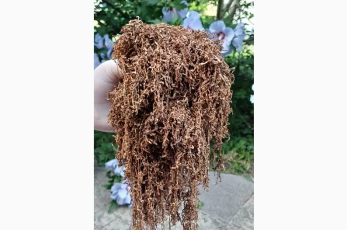 Преміум тютюн для куріння за доступними цінами- фото № 18