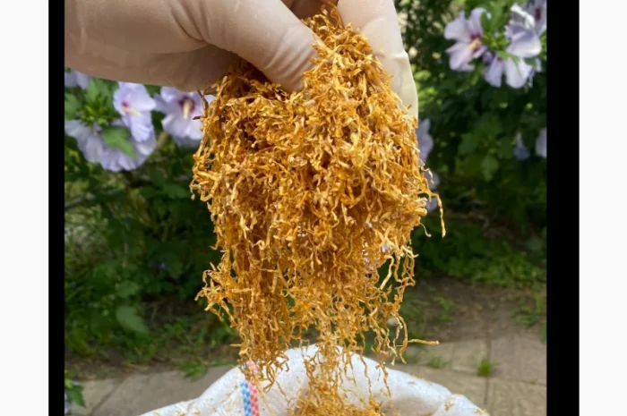 Преміум тютюн для куріння за доступними цінами- фото № 19