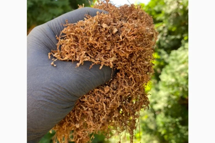 Шукаєте хороший тютюн? Значить вам сюди!!! ШИКАРНИЙ асортимент - адекватна ціна. АКЦІЯ- фото № 2