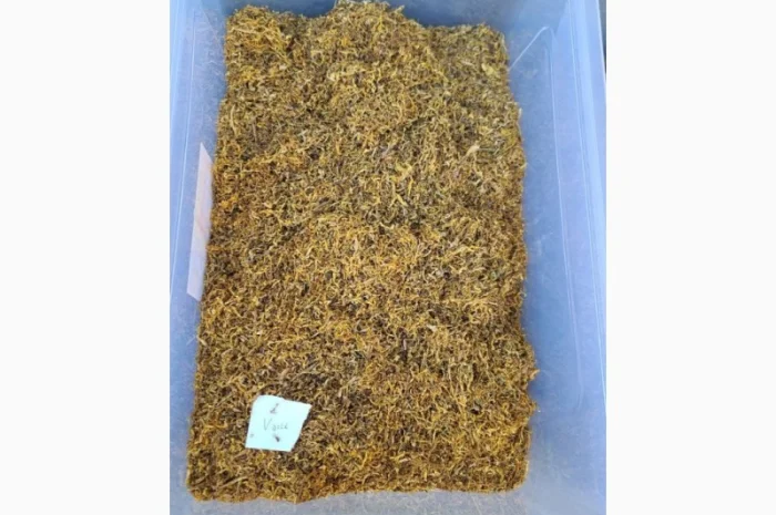 Самий кращий табак для сигарет 1 кг  для Вас Панове Вірджінія, Берлі, Мілєніум- фото № 4