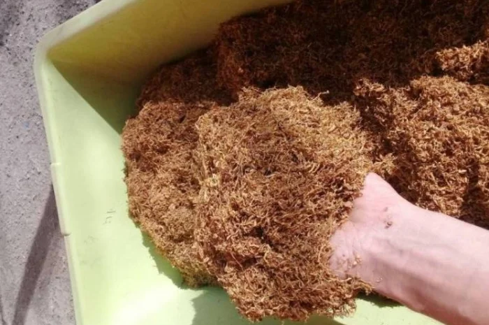 Запашний домашній крепкий тютюн для сигарет 1 кг- фото № 1