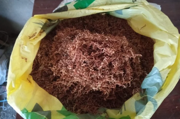 Ще є МАХОРКА  для трубки і тютюн домашній качество на висоті- фото № 2