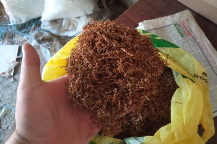 Продам отлічний тютюн для трубки  Вірджінія, Берлі, ферментірований і САМОСАД- фото № 2