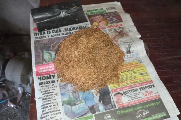 Самосад хароший для трубки  і тютюн берлі для сосіда- фото № 2