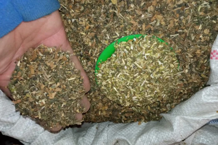 Мілєніум табак  для  сигарет 1 кг,  домаашній без домішок- фото № 5