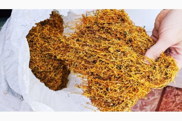 Мілєніум табак  для  сигарет 1 кг,  домаашній без домішок- фото № 4