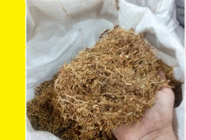 Самі домашні табаки для трубки з відбірного листа- фото № 1