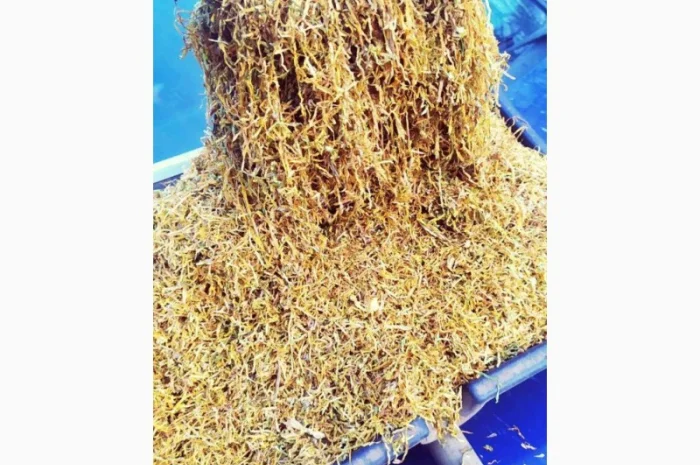 Найкращий тютюн для сигарет 1 кг , повністю ферментований НЕ Мокрий не прілий Вірджінія, дюбек, берлі- фото № 3