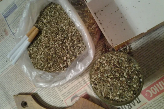 Табак для сигарет 1 кг домашній порізка сігаретна і махорка свіжа отлічна- фото № 5