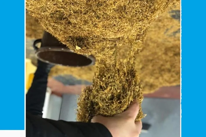 Табак для сигарет 1 кг домашній порізка сігаретна і махорка свіжа отлічна- фото № 1