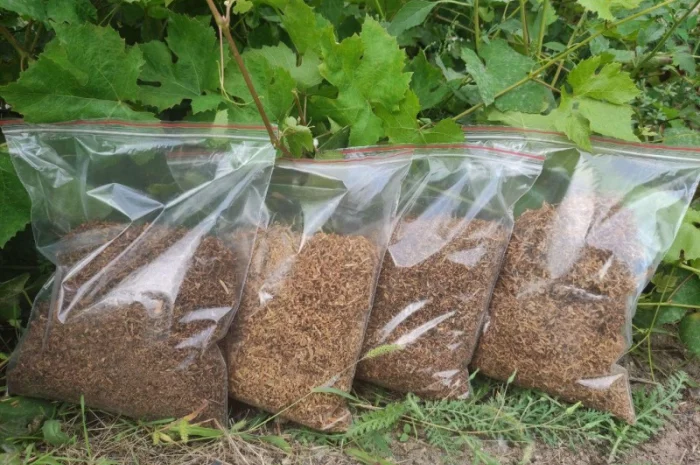 Табак, тютюн для самокруток  і аксесуари- фото № 3