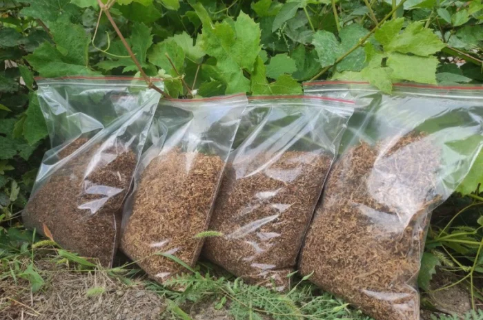 Тютюн високої якості для сигарет 1 кг- фото № 4