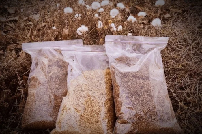 Тютюн для самокруток , табак, самосад, вірджинія голд- фото № 2