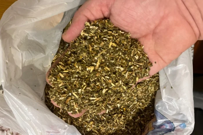 Продам махорку  для  самокруток- фото № 1