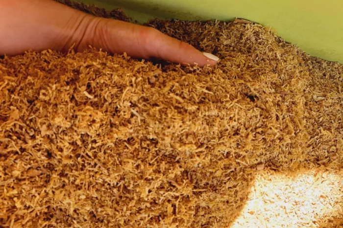 Продаж фабричного та ферментованого тютюну — широкий вибір сортів- фото № 6