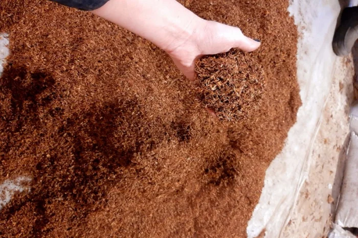 Честер и другие виды табака для сигарет 1 кг- фото № 2