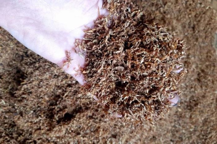 Честер и другие виды табака для сигарет 1 кг- фото № 10