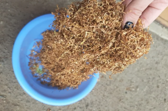 Честер и другие виды табака для сигарет 1 кг- фото № 8