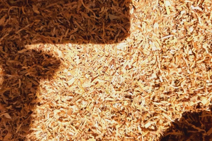 Честер и другие виды табака для сигарет 1 кг- фото № 12