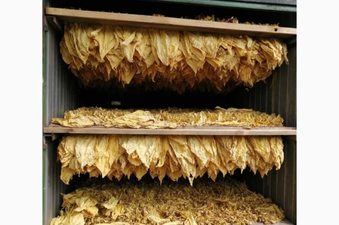 Акция ! ТАБАК ТУРЦИЯ для самокруток . Отличное сочетание цены и безупречного качества- фото № 4