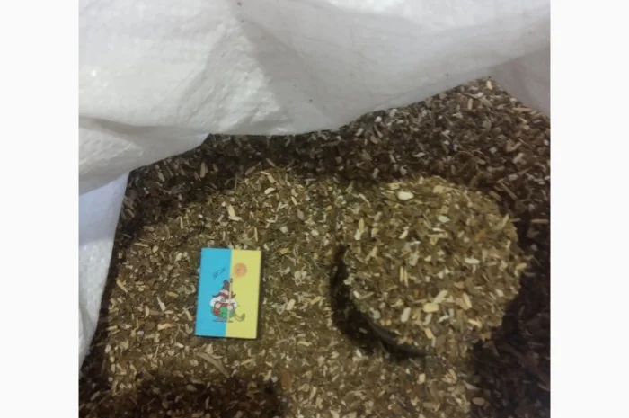 Куплю махорку для самокруток , самосад- фото № 1