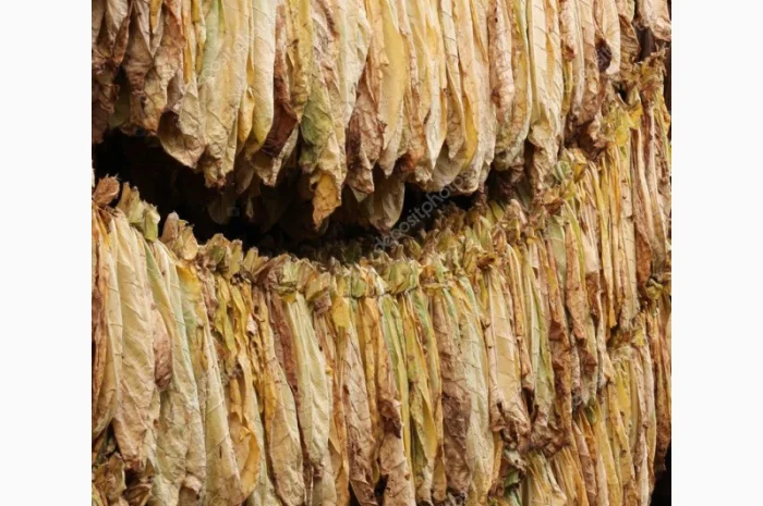 Табак в листе для самокруток- фото № 2